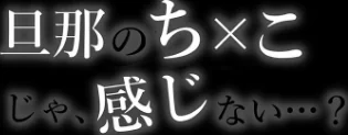 ようこそ、淫欲の入口へ/いーないん/2024-10-01【b079akroe01338】 試し読みサンプル 4ページ目
