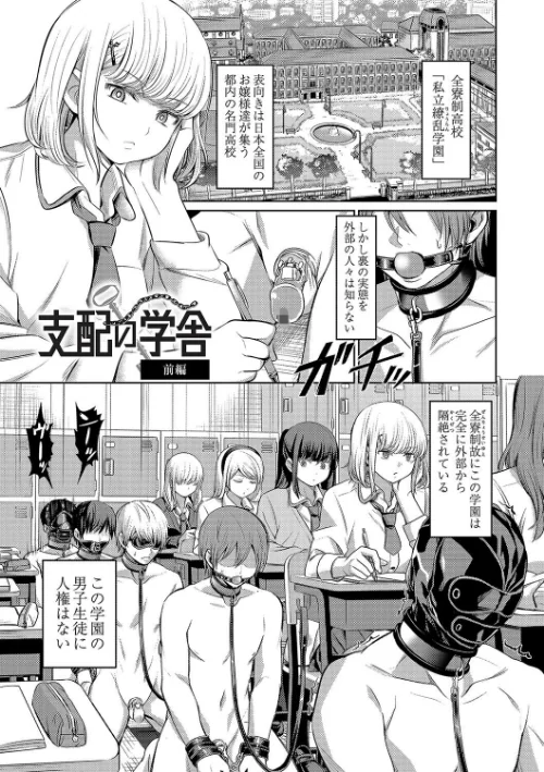 ざ・ふぃめーる・どみねーしょん【デジタル特装版】/山畑璃杏 COMIC快艶編集部/2024-02-27【b092agwrk02598】 試し読みサンプル 5ページ目
