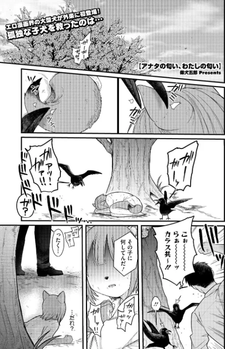 COMIC外楽 Vol.022/健康クロス 柴犬五郎 ゲソスミス はらだいこ 小石ちかさ 雨山電信 眼魔礼/2025-07-25【s011akamj02538】 試し読みサンプル 3ページ目