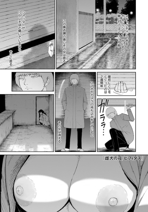 雌犬の夜 【単話】（単話）/ビフィダス/2024-10-15【b061bangl02625】 試し読みサンプル 2ページ目