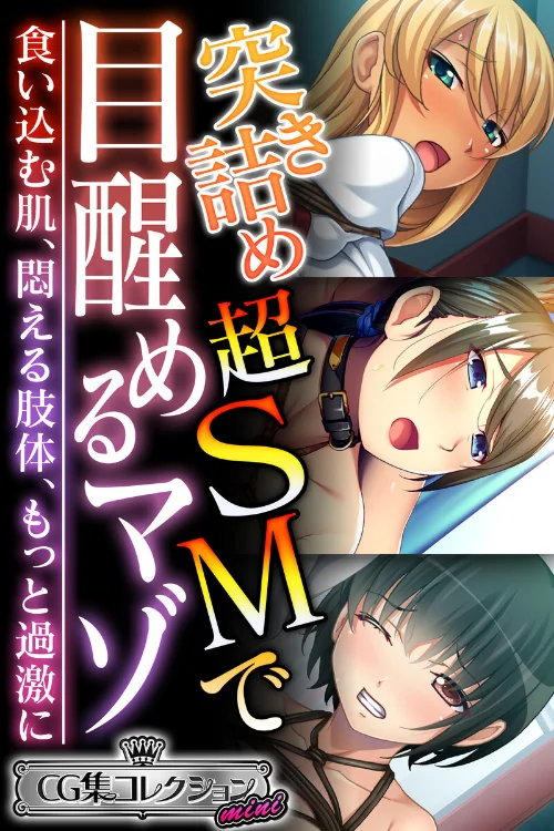 突き詰め超SMで目醒めるマゾ〜食い込む肌、悶える肢体、もっと過激に〜【CG集コレクション ミニ】/大人のSEXY絵本/2024-11-29【k187afrnt09649】 試し読みサンプル 2ページ目