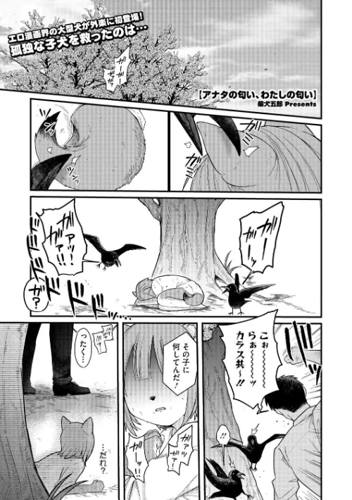アナタの匂い、わたしの匂い(単話)/柴犬五郎/2025-07-25【s011akamj02539】 試し読みサンプル 2ページ目