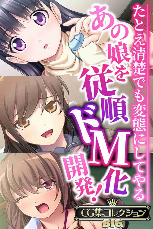 あの娘を従順ドM化開発!〜たとえ清楚でも変態にしてやる〜【CG集コレクションBIG】/大人のSEXY絵本/2024-05-31【k187afrnt07331】 試し読みサンプル 2ページ目