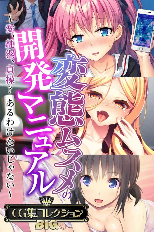 変態ムスメの開発マニュアル 〜愛、純潔、貞操?あるわけないじゃない〜【CG集コレクションBIG】/大人のSEXY絵本/2024-08-02【k187afrnt08400】 試し読みサンプル 2ページ目