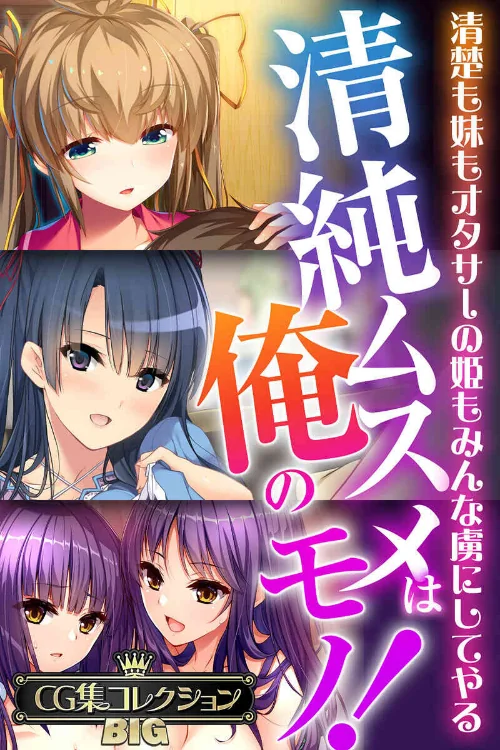 清純ムスメは俺のモノ！〜清楚も妹もオタサーの姫もみんな虜にしてやる〜【CG集コレクションBIG】/大人のSEXY絵本/2024-08-02【k187afrnt08403】 試し読みサンプル 2ページ目