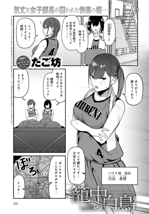 籠中の白鳥（単話）/たご坊/2024-08-20【k568agotp06593】 試し読みサンプル 2ページ目